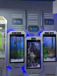 Weird & Wonderful — Rare Sea Creatures at Aquaria KLCC 🐟🧪