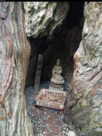 💧別府弁天池｜吸い込まれそうな青！神秘の湧水池で心を浄化する旅