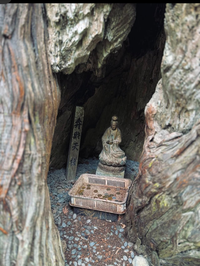 💧別府弁天池｜吸い込まれそうな青！神秘の湧水池で心を浄化する旅
