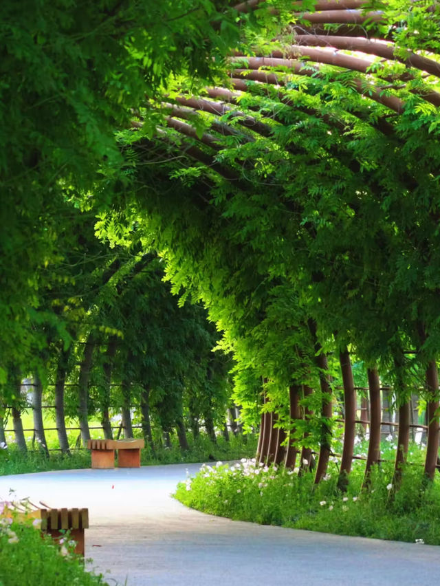 Journey Back 5,000 Years: Discovering Liangzhu Ancient City