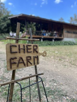 🌿☕ สวนเฌอ (Cher Farm) คาเฟ่ลับกลางสวนลำไย