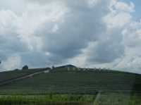 ดื่มชาร้านดัง วิวหลักล้าน“ไร่ชาฉุยฟง”