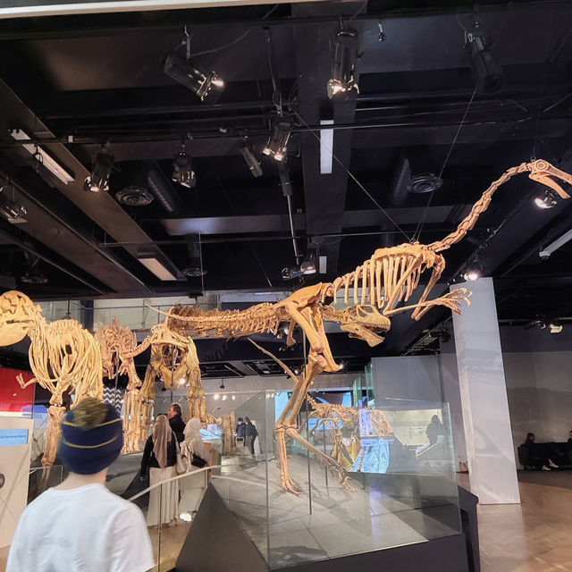 メルボルン博物館🦕