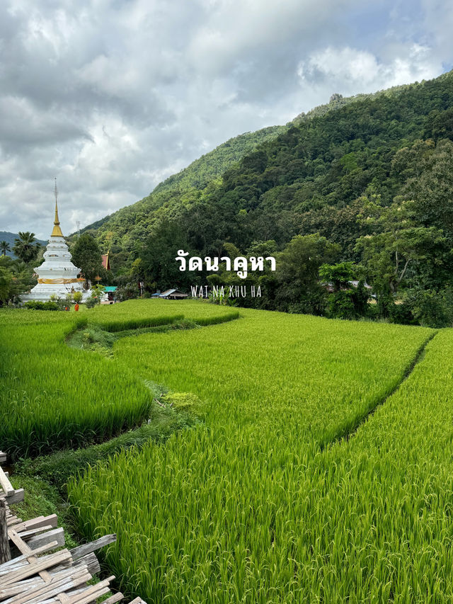 14 ที่เที่ยวธรรมชาติ จ.แพร่ 🏡⛰️🌦️🌈 14 ที่เที่ยวธรรมชาติ จ.แพร่ 🏡⛰️🌦️🌈