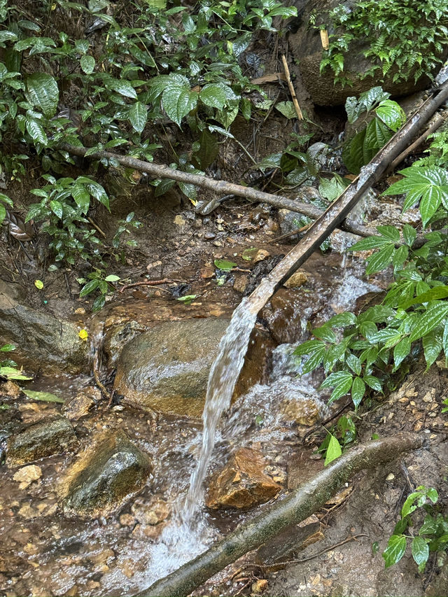 น้ำตกหมอกฟ้า จ.เชียงใหม่ 🌳🌧️🪨💦 น้ำตกหมอกฟ้า จ.เชียงใหม่ 🌳🌧️🪨💦
