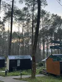 Bobocabin Cikole Experience 🔥