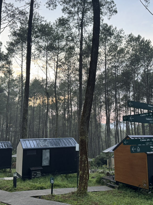 Bobocabin Cikole Experience 🔥