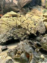 Anawangin Hilltop: Scenic Views of Zambales