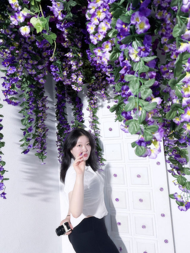 제주에서 스튜디오 퀄리티 인생샷 무제한 생성하는 법.