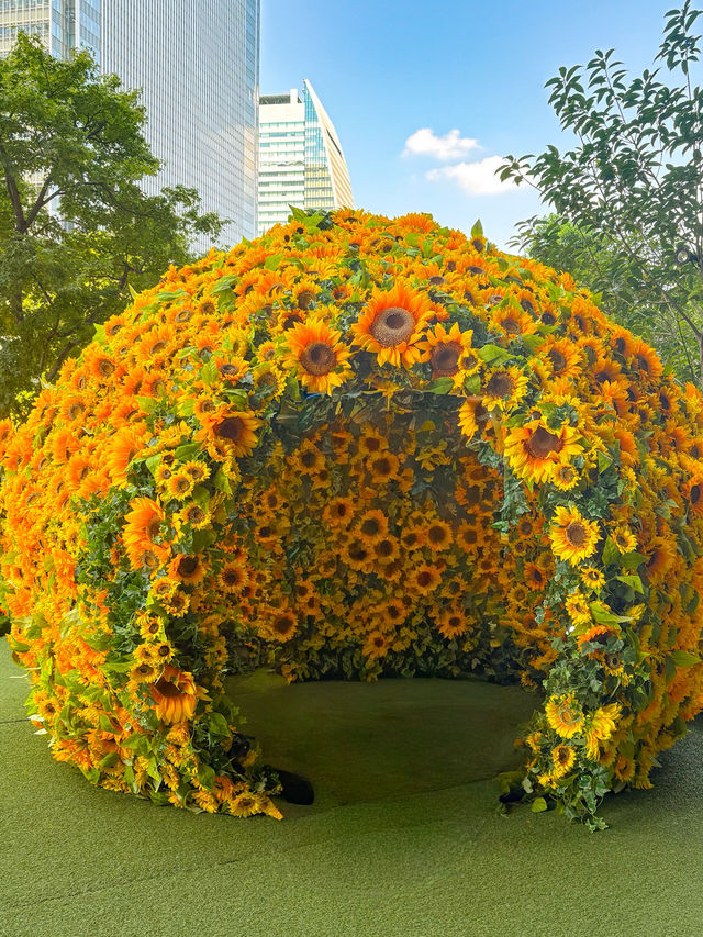 【名古屋】名駅のど真ん中に広がる“ひまわりガーデン”✨🌻
