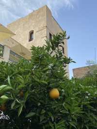 The Oasis in the Heart of the Medina: Le Jardin Secret