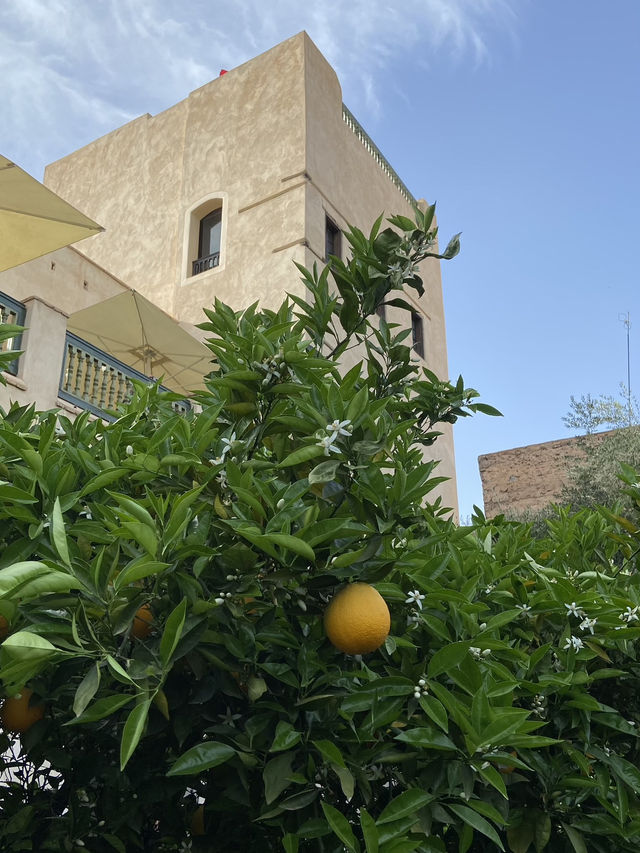 The Oasis in the Heart of the Medina: Le Jardin Secret