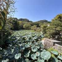 The Setting: Genpei Pond (源平池 - Genpei Ike)