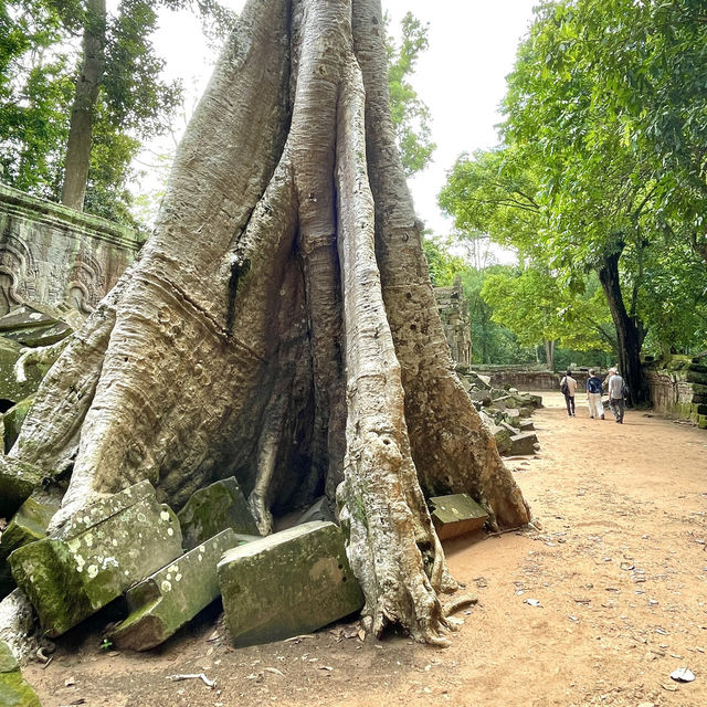 The spiritual devotion of the Khmer Empire 👫😎👍😍🌸❤️