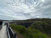 澳洲阿得雷德、墨爾本+新加坡親子遊