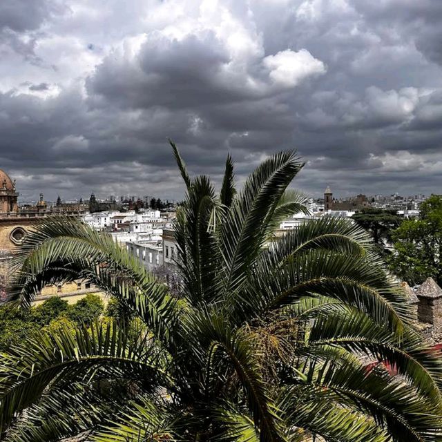 Jerez de la Frontera (Andalusia)
