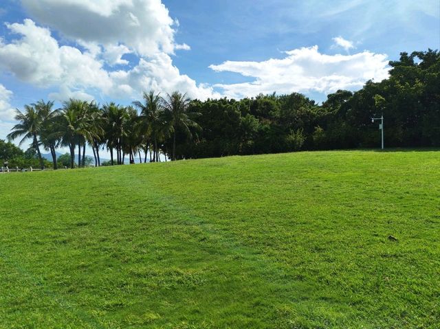 深圳｜深圳灣公園