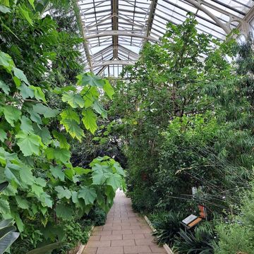 Kew Gardens – London, England