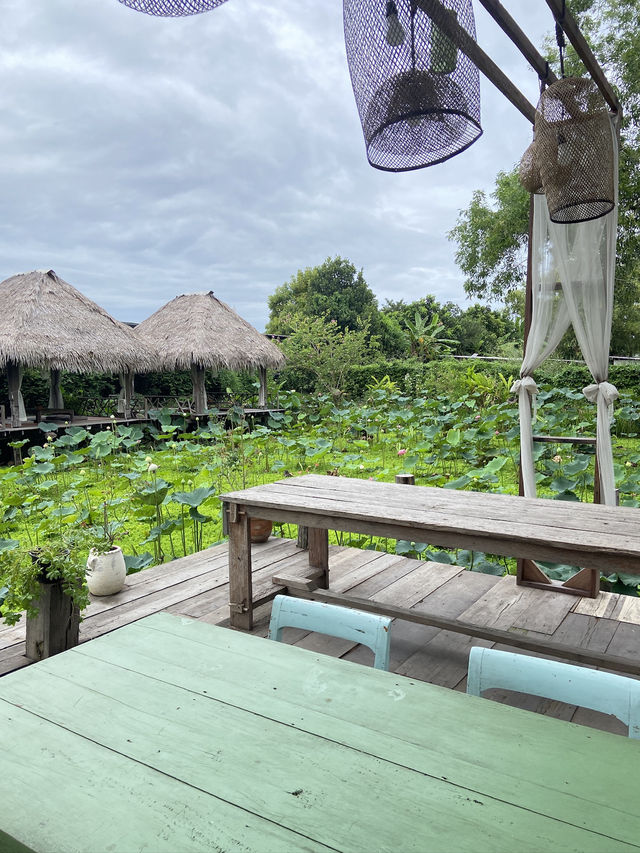 เช้าวันสดใส ที่ “ชบา ชไบ” คาเฟ่ คลอง 3