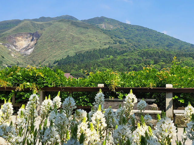 名陽匍休閒農莊：陽明山花季中的秘境天地