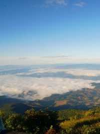 🌳 : Kew Mae Pan nature trail กิ่วแม่ปาน เชียงใหม่