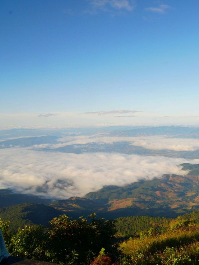 🌳 : Kew Mae Pan nature trail กิ่วแม่ปาน เชียงใหม่