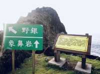 🌊「海的盡頭,是原始與自由的呼吸。」