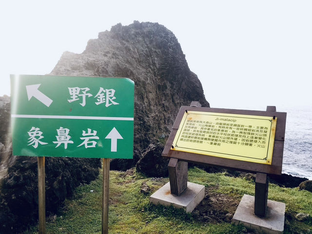 🌊「海的盡頭,是原始與自由的呼吸。」 🌊「海的盡頭,是原始與自由的呼吸。」