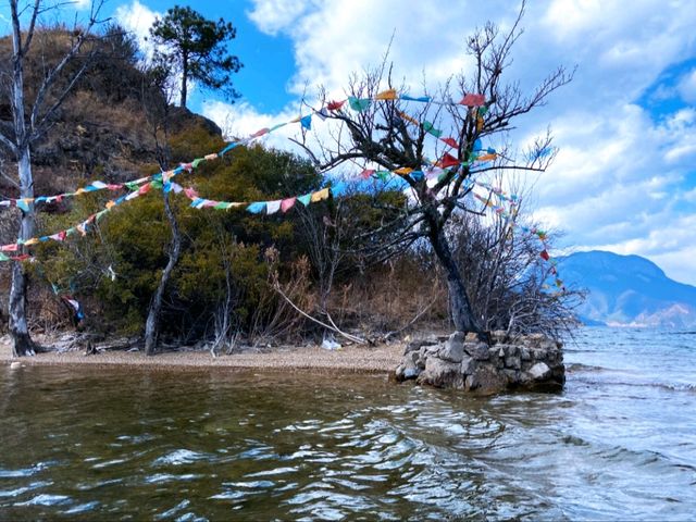 里務比島 里務比島