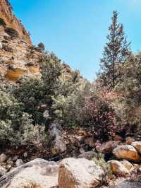 Avakas Gorge A Natural Wonder of Cyprus