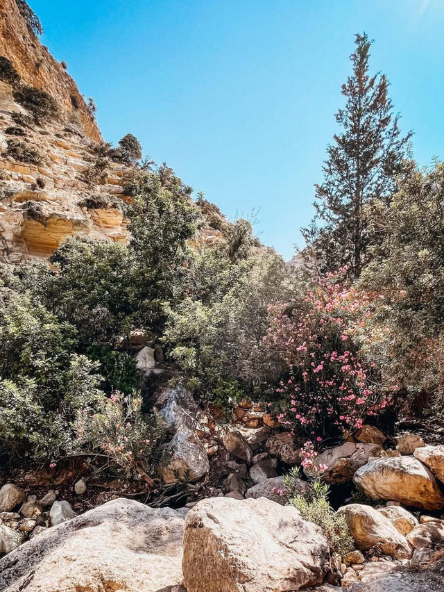 Avakas Gorge A Natural Wonder of Cyprus