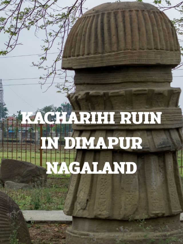 NAGALAND TRIP