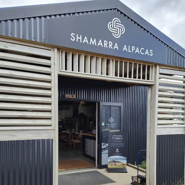 Shamarra Alpacas – Cuddles, Cashmere & Craggy Harbour Views at Akaroa