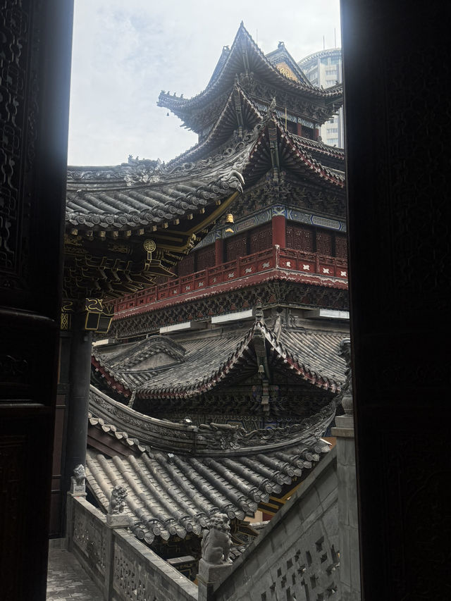 Wulong’s Misty Magic🌫️