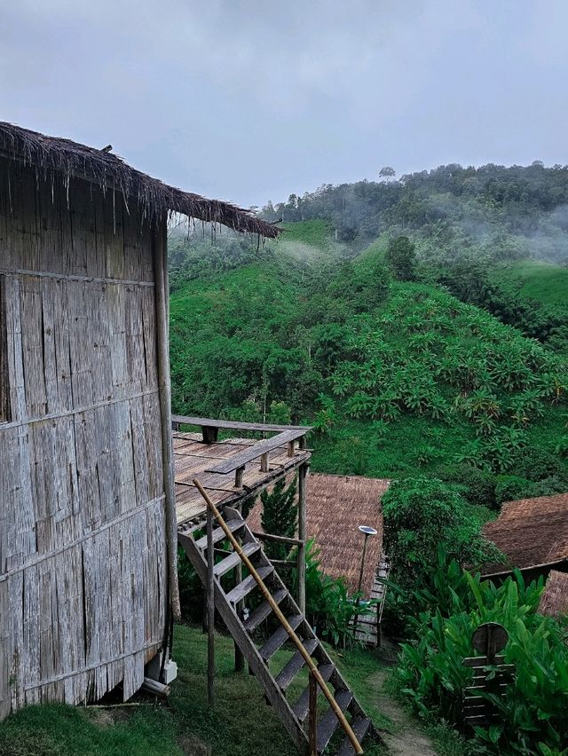 YAZAMA Homestay | แม่แตง
