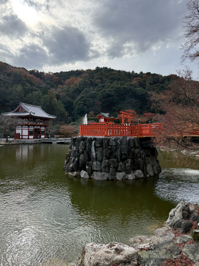大阪近郊紅葉靚景（期間限定）