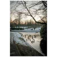 Winter Wonders at Sefton Park, Liverpool