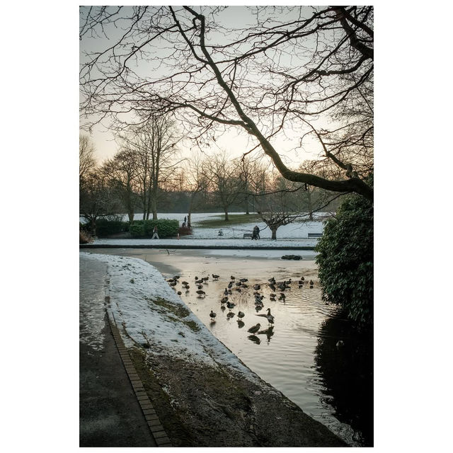 Winter Wonders at Sefton Park, Liverpool