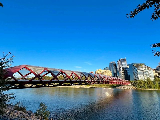 Urban Oasis Urban Oasis