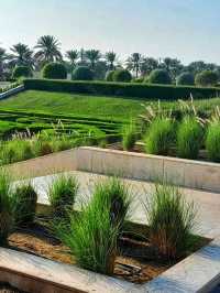 🌴 Muscat Escape: Luxury Stay & Qurum Delights ✨
