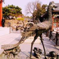 หยุดเวลาไว้ที่พระราชวังฤดูร้อน ปักกิ่ง