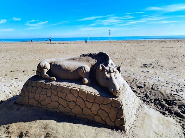 ​瓦倫西亞 | Malvarrosa Beach Valencia 馬爾瓦羅薩海灘：地中海的迷人風情