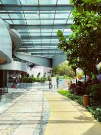 Starling Mall’s Green Oasis: An Urban Park for Slow Living 🌳🚶♀️