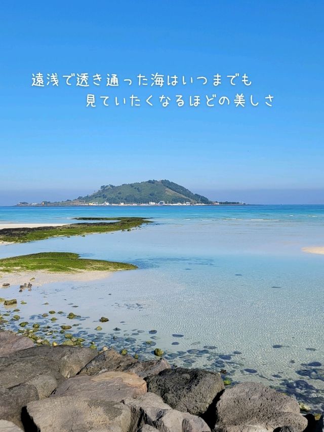世界の映えスポット❗海が絶景過ぎる国 3選