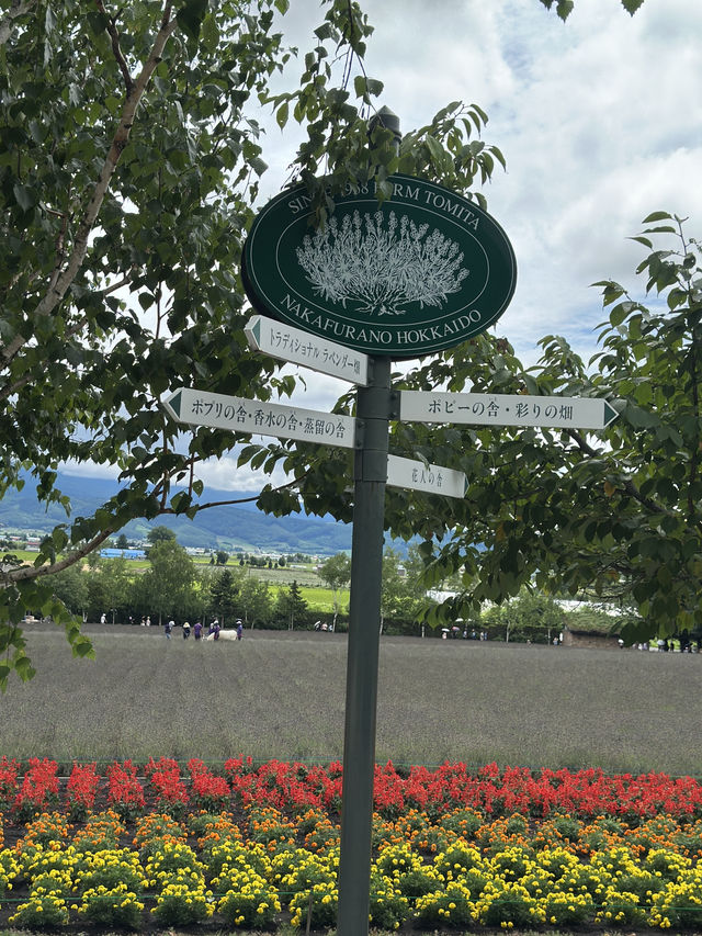 ✨กิจกรรมหน้าร้อนใน Hokkaido✨