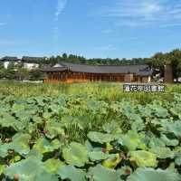 【全州】ソウルから日帰り旅❗️徳津公園&蓮花亭図書館