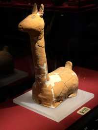 Xiang Yang Museum—free to visit🤩