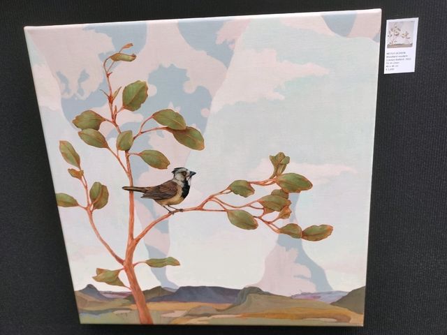 🖼️Floriade Bonus Part 2🖼️