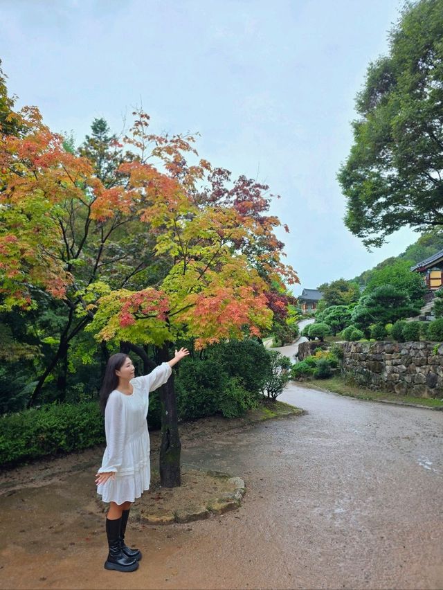 역사의 아름다움이 고스란히 담겨있는 영주여행지🧡