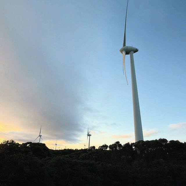 The Albany Wind Farm